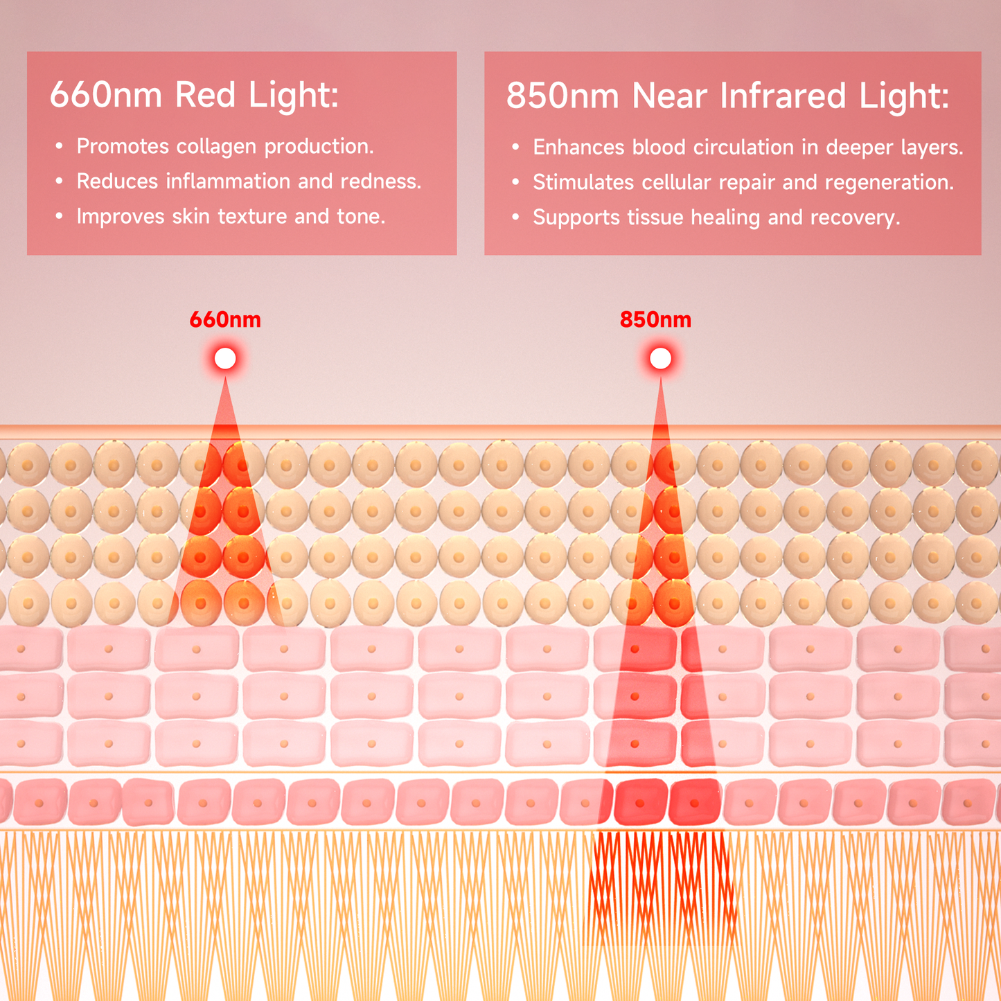 Red & Near-Infrared Light Therapy Wrap for Neck & Shoulder