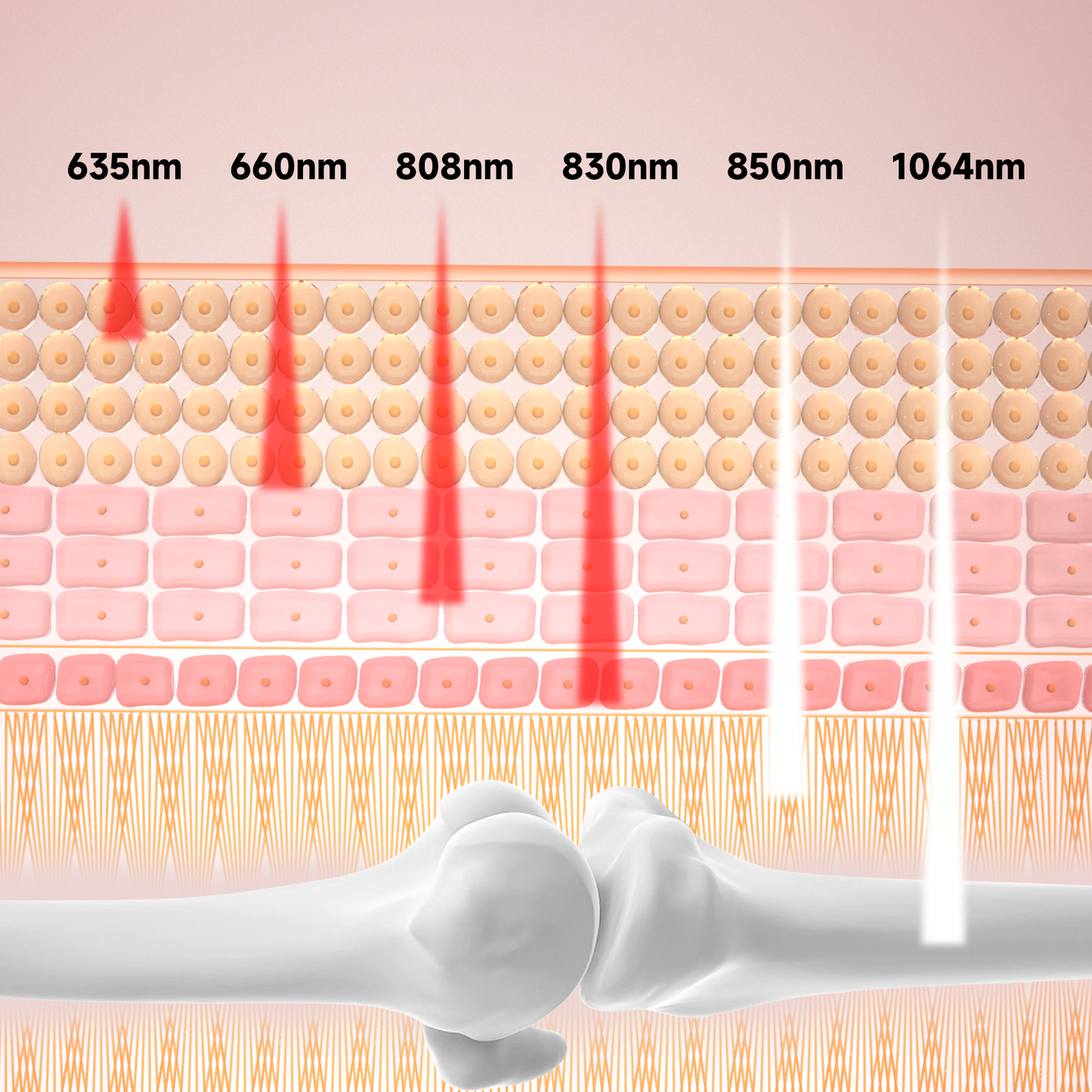 Lumyhealth Multi-Spectrum Red Light Therapy Pad