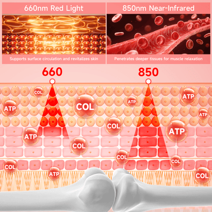 LUMYHEALTH Dual-Pulse Red Light Therapy Mat for Pain Relief - LUMYHEALTH