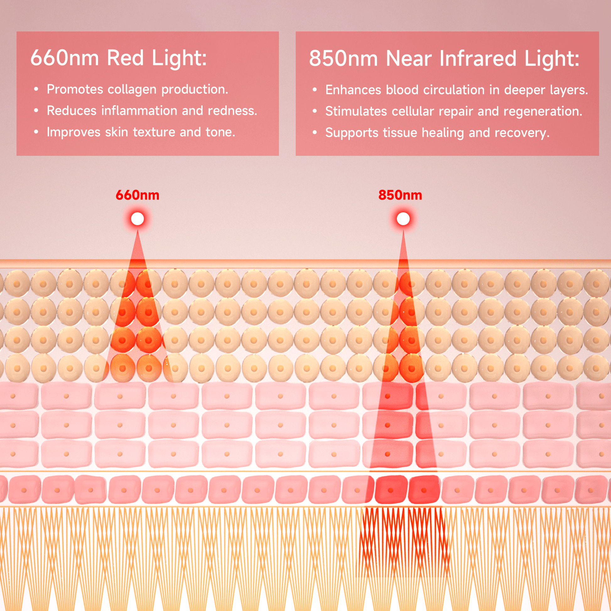 Red & Near - Infrared Light Therapy Wrap for Neck & Shoulder - LUMYHEALTH™